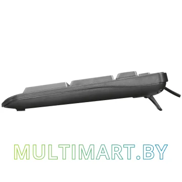 Клавиатура Trust Ziva Multimedia Keyboard картинка 2
